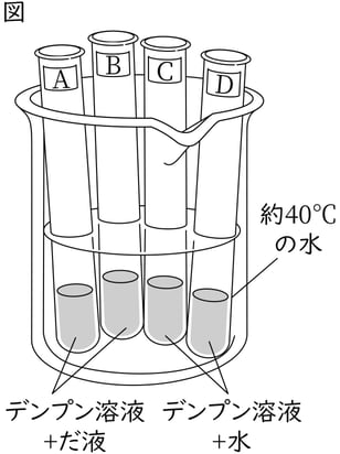 G8_science_1-11_Point1_picture2_Type4.jpg