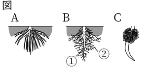 G7_science_1-7_Lesson1_picture1_Type4.jpg