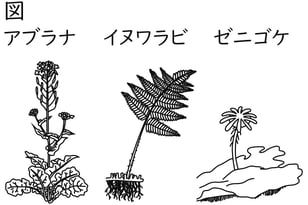 G7_science_1-8_Lesson1_picture1_Type4.jpg