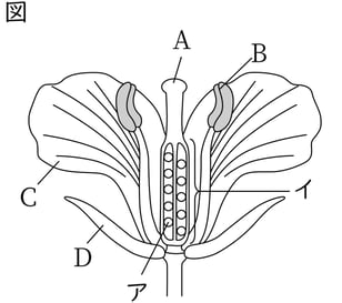 G7_science_1-4_Practice1_picture1_Type4.jpg