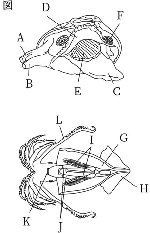 G7_science_1-14_Practice1_picture1_Type4.jpg