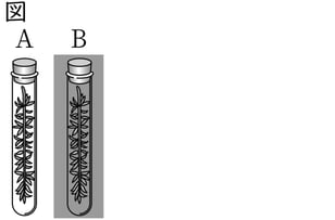 G8_science_1-8_Practice2_picture2_Type4.jpg