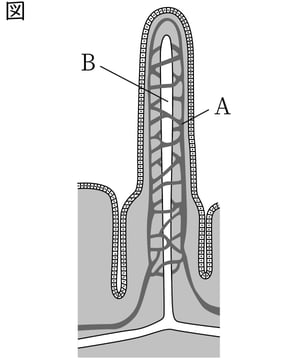 G8_science_1-10_Lesson2_picture1_Type4.jpg
