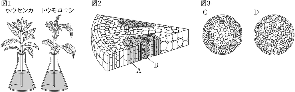 G8_science_1-5_Lesson2_picture1_Type1.jpg