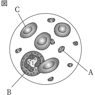 G8_science_1-14_Training1_picture1_Type4.jpg