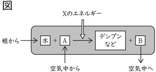 G8_science_1-7_Practice1_picture1_Type4.jpg