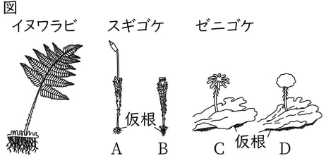 G7_science_1-8_Practice2_picture1_Type3.jpg