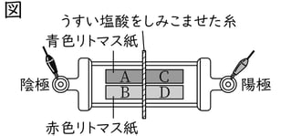 G9_science_2-11_Lesson2_picture1_Type4.jpg
