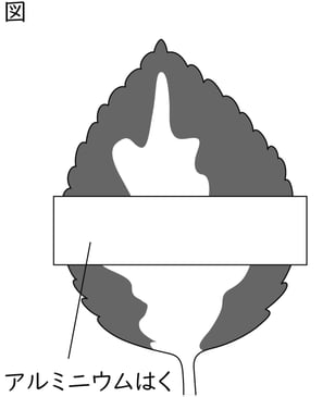 G8_science_1-7_Lesson2_picture1_Type4.jpg