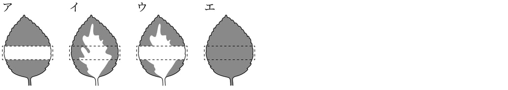 G8_science_1-7_Lesson2_picture2_Type1.jpg