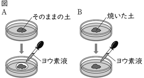 G9_science_6-2_Lesson1_picture1_Type3.jpg