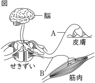 G8_science_1-19_Lesson1_picture1_Type4.jpg