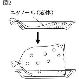 G7_science_2-13_Lesson1_picture2_Type4.jpg