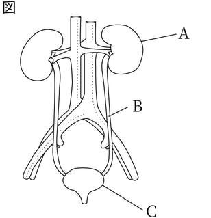 G8_science_1-13_Lesson1_picture1_Type4.jpg