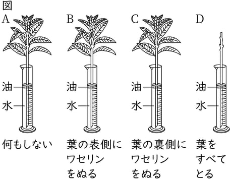 G8_science_1-9_Point1_picture1_Type3.jpg