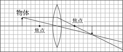 G7_science_3-6_Training1_picture2_Type7.jpg