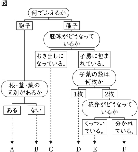G7_science_1-9_Lesson1_picture1_Type3.jpg