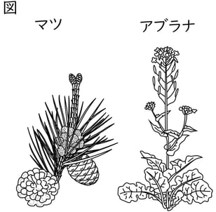 G7_science_1-5_Training1_picture1_Type4.jpg