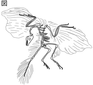 G9_science_1-8_Point1_picture12_Type4.jpg