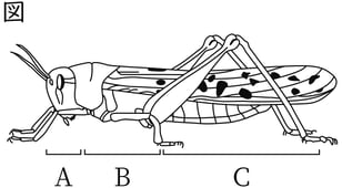 G7_science_1-13_Lesson2_picture1_Type4.jpg