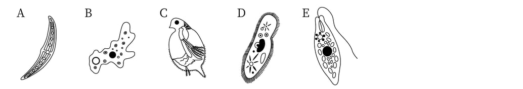 G8_science_1-2_Lesson2_picture1_Type1.jpg