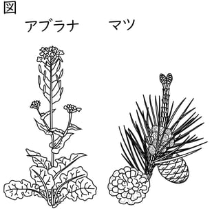 G7_science_1-5_Lesson1_picture1_Type4.jpg