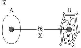 G8_science_1-4_Practice1_picture1_Type4.jpg