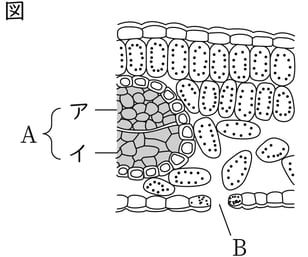 G8_science_1-6_Lesson2_picture1_Type4.jpg