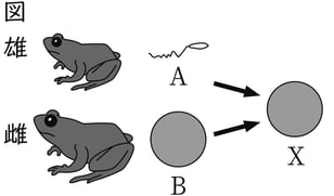 G9_science_1-2_Lesson1_picture1_Type4.jpg