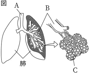 G8_science_1-12_Lesson2_picture1_Type4.jpg