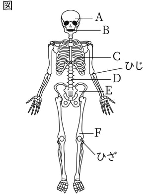 G8_science_1-20_Lesson1_picture1_Type4.jpg
