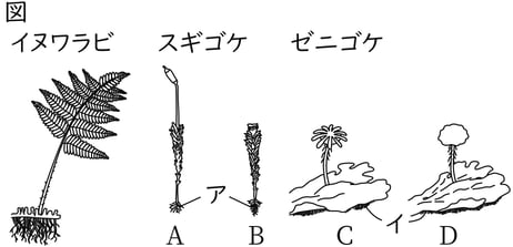 G7_science_1-8_Lesson2_picture1_Type3.jpg