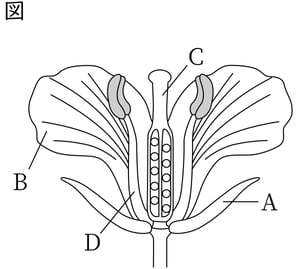 G7_science_1-3_Practice1_picture1_Type4.jpg
