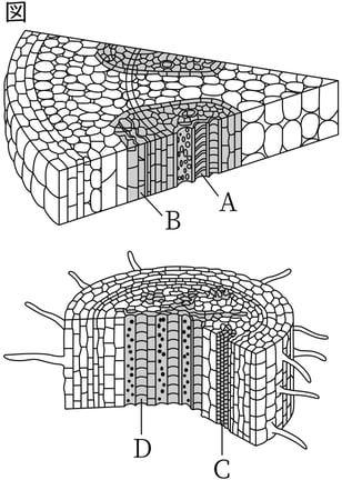 G8_science_1-5_Practice1_picture1_Type4.jpg