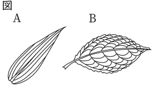 G7_science_1-7_Training2_picture1_Type4.jpg