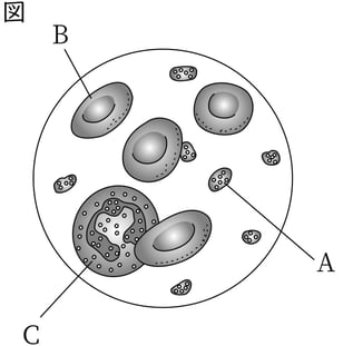 G8_science_1-14_Practice1_picture1_Type4.jpg