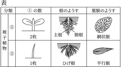 G7_science_1-6_Lesson1_picture1_Type3.jpg
