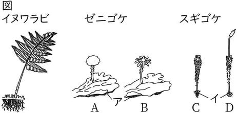 G7_science_1-8_Training2_picture1_Type3.jpg