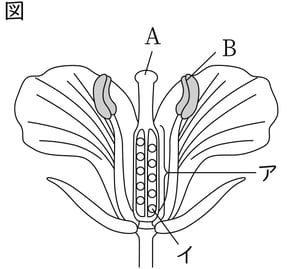 G7_science_1-4_Lesson1_picture1_Type4.jpg