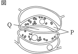 G8_science_1-6_Practice1_picture1_Type4.jpg