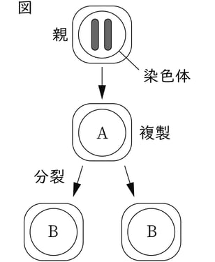 G9_science_1-4_Lesson2_picture1_Type4.jpg