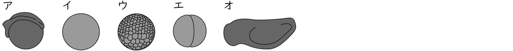 G9_science_1-2_Training1_picture2_Type1.jpg