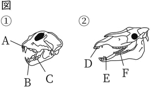 G7_science_1-12_Lesson1_picture1_Type4.jpg