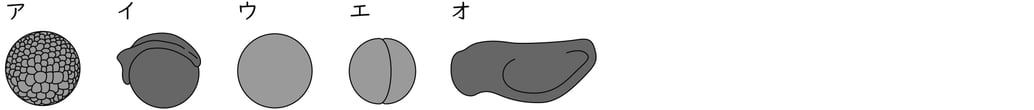 G9_science_1-2_Lesson1_picture2_Type1.jpg