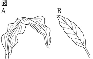 G7_science_1-7_Lesson2_picture1_Type4.jpg