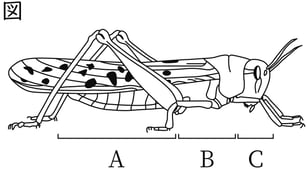 G7_science_1-13_Practice2_picture2_Type4.jpg