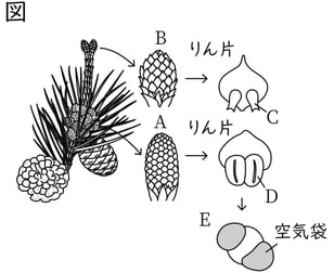 G7_science_1-5_Practice2_picture1_Type4.jpg