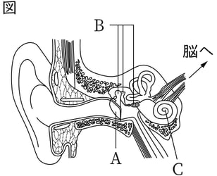 G8_science_1-18_Lesson2_picture1_Type4.jpg