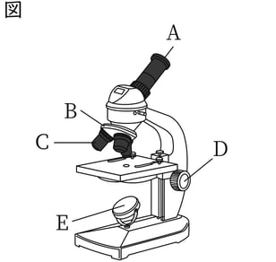 G7_science_1-2_Lesson1_picture1_Type4.jpg