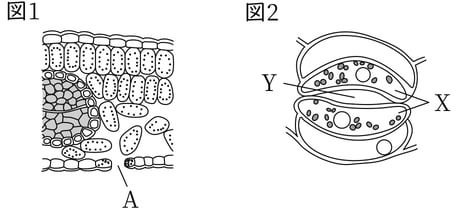 G8_science_1-6_Lesson1_picture1_Type3.jpg